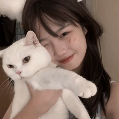 乱战天下bt变态版下载